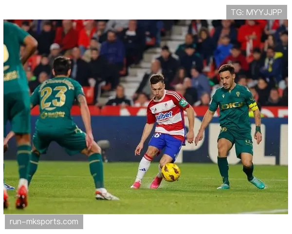 德甲新赛季群星闪耀，新援表现成焦点