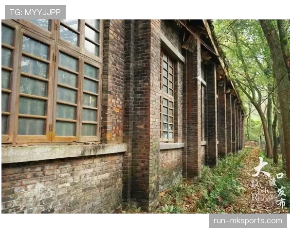 帕利尼亚的大范围覆盖能力解析